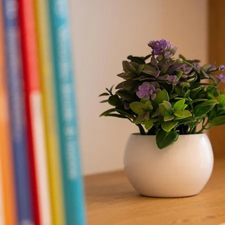 Vendégház Butiko 4*